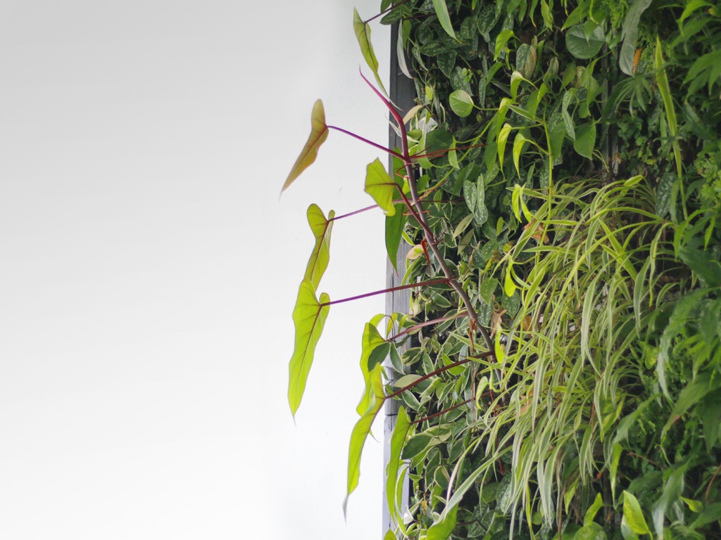Com'è fatto il giardino verticale Life Panel